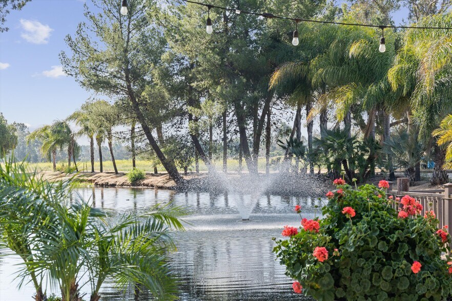 More Photos Of 41220 Calle Contento, Temecula Winery Vineyard For Sale