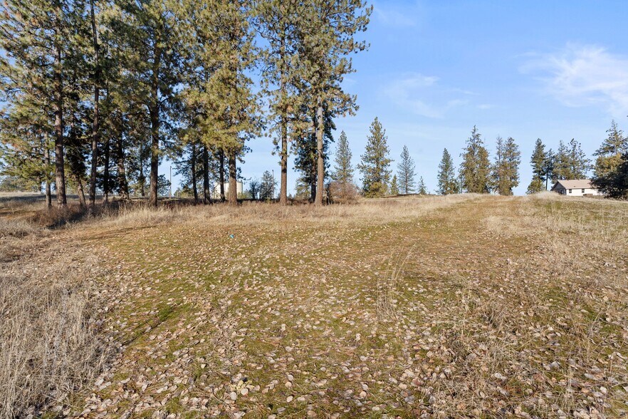 More Photos Of 233 Alki St, Cheney Land For Sale