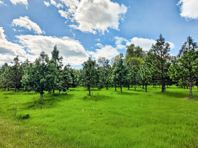 More Photos Of 37516 Beaton ln, Lebanon Land For Sale