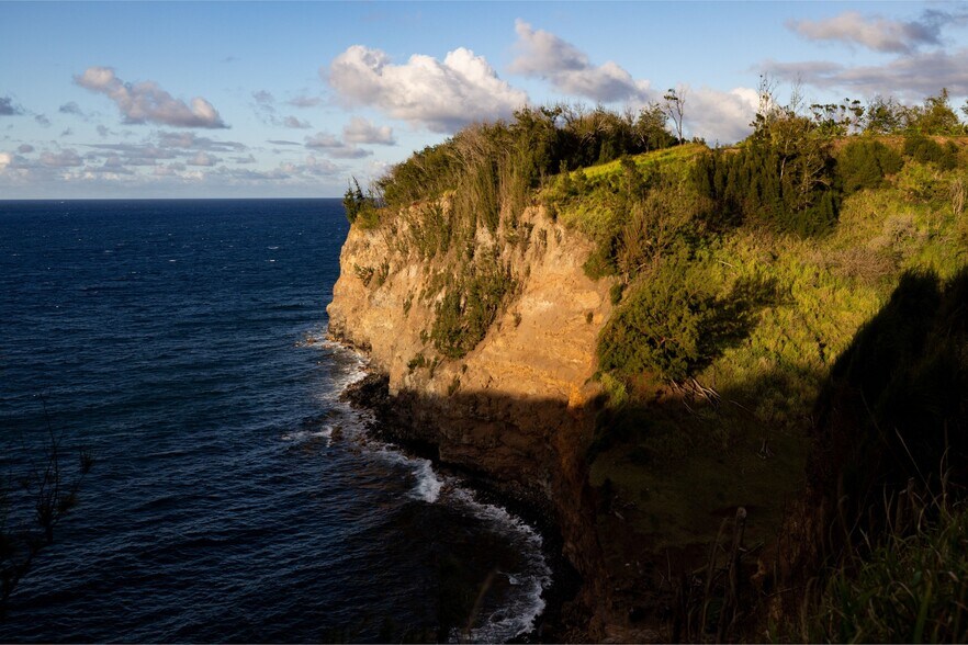 More Photos Of 54-250 Lokahi Rd, Kapaau Hospitality For Sale