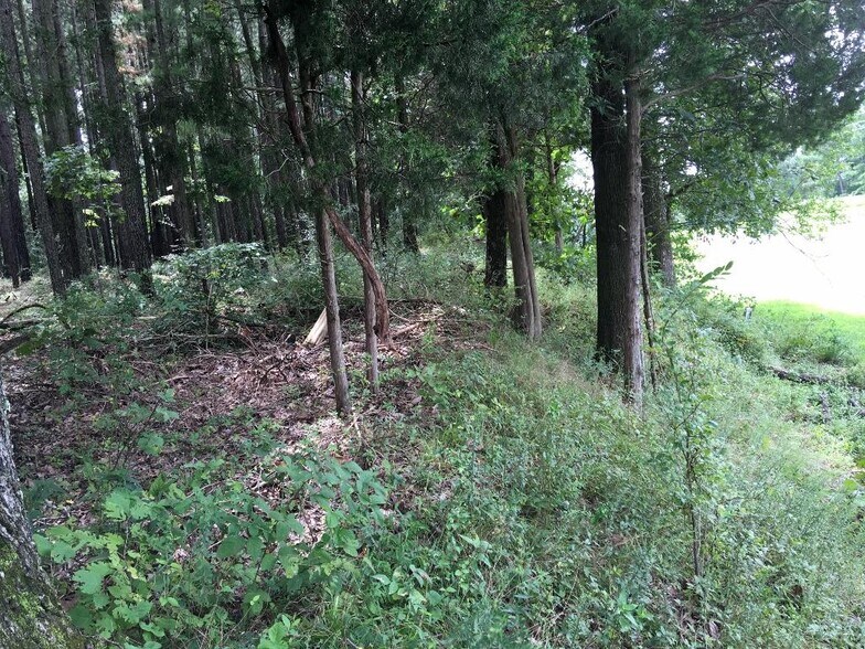 More Photos Of Parrish Ridge Ln, Goreville Land For Sale