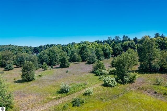 More Photos Of 00 South St, Benzonia Land For Sale