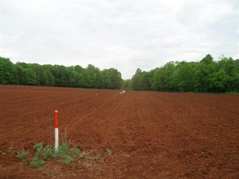 More Photos Of 2061-2173 Mulberry Rd, Concord Land For Sale