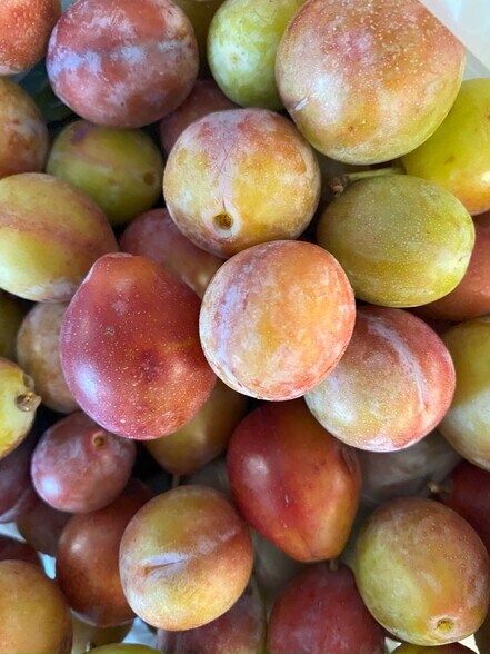 More Photos Of 157 Hergenrider Rd, Bridger Land For Sale