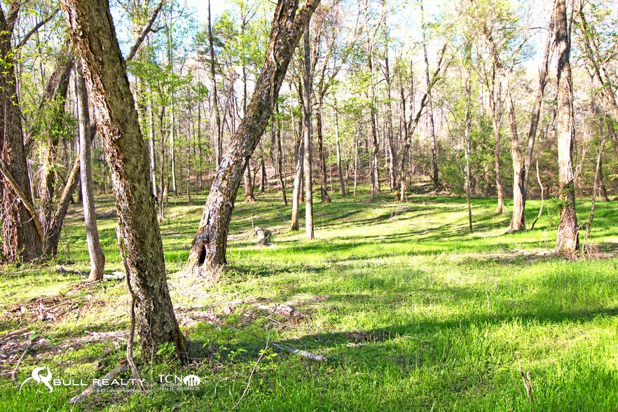 More Photos Of Brandy Mountain Rd, Dahlonega Land For Sale