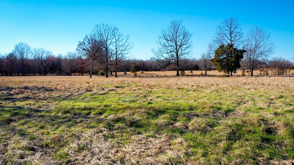 More Photos Of 1200 County 1255 rd, Detroit Land For Sale