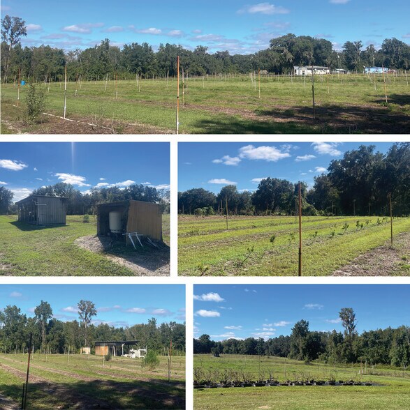 More Photos Of 9333 E Bushnell Rd, Floral City Land For Sale