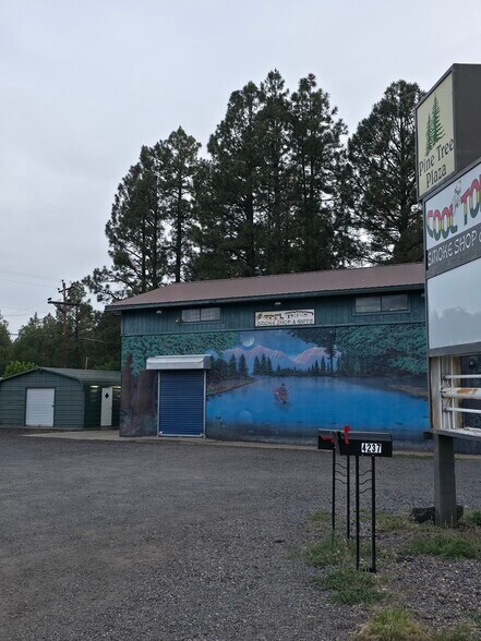 More Photos Of 4237 W White Mountain Blvd, Lakeside General Retail For Lease