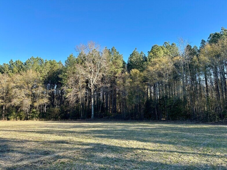 More Photos Of US Highway 301 N, Micro Land For Sale