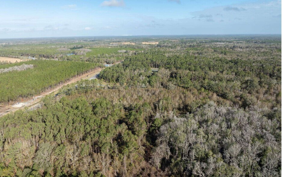 More Photos Of TBD CR 137 & I-10, Wellborn Land For Sale