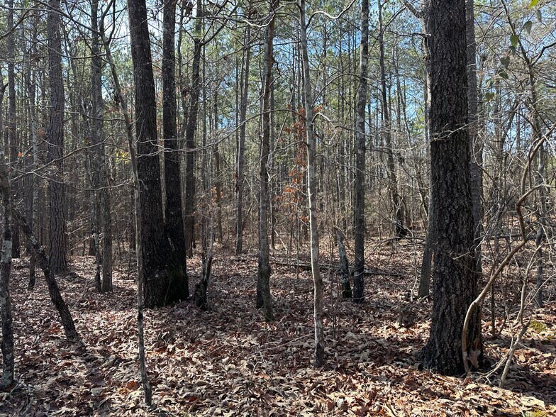 Primary Photo Of 184 Young Rd, Milledgeville Land For Sale