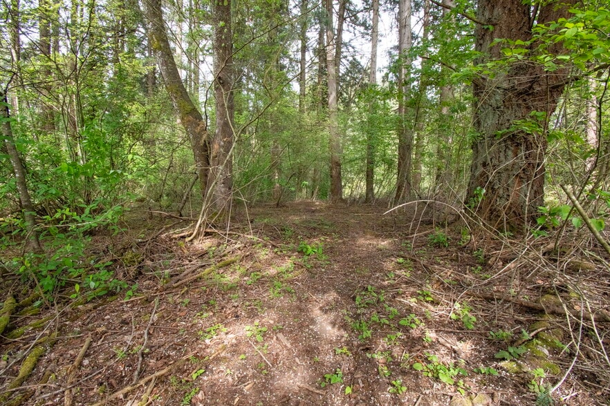 More Photos Of 0 45th Avenue, Vancouver Land For Sale