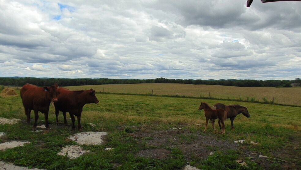 More Photos Of 2890 Jorolemon Rd, Weedsport Industrial For Sale