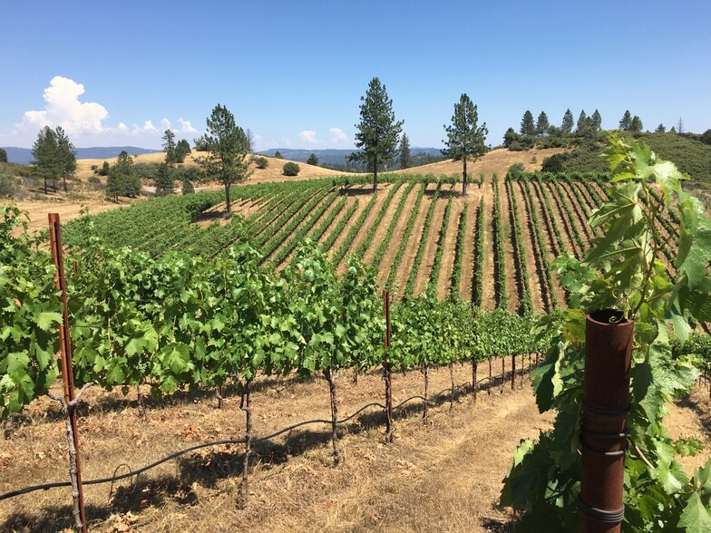 Primary Photo Of 7005 Mountain Ranch Rd, Mountain Ranch Land For Sale