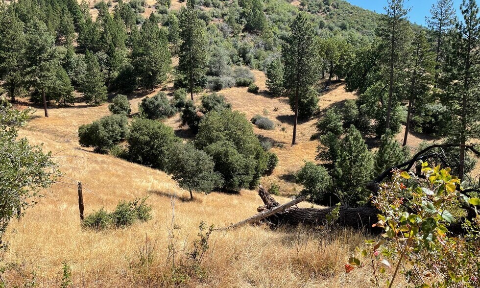 More Photos Of 00000 Forrest Road 1N19, Tuolumne Land For Sale