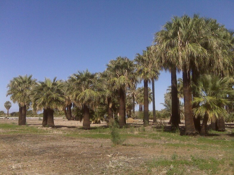 More Photos Of 7945 Luna Rd, Niland Land For Lease