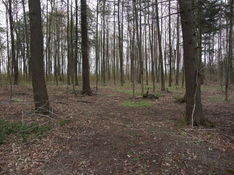 Primary Photo Of 8949 Wellington 22, Erin Land For Sale