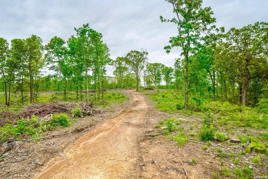 More Photos Of 3565 Albert Pike, Hot Springs Land For Sale