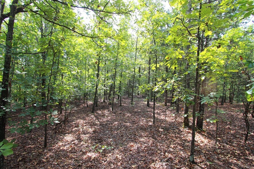 More Photos Of 226 Blythe rd, Greenbrier Land For Sale