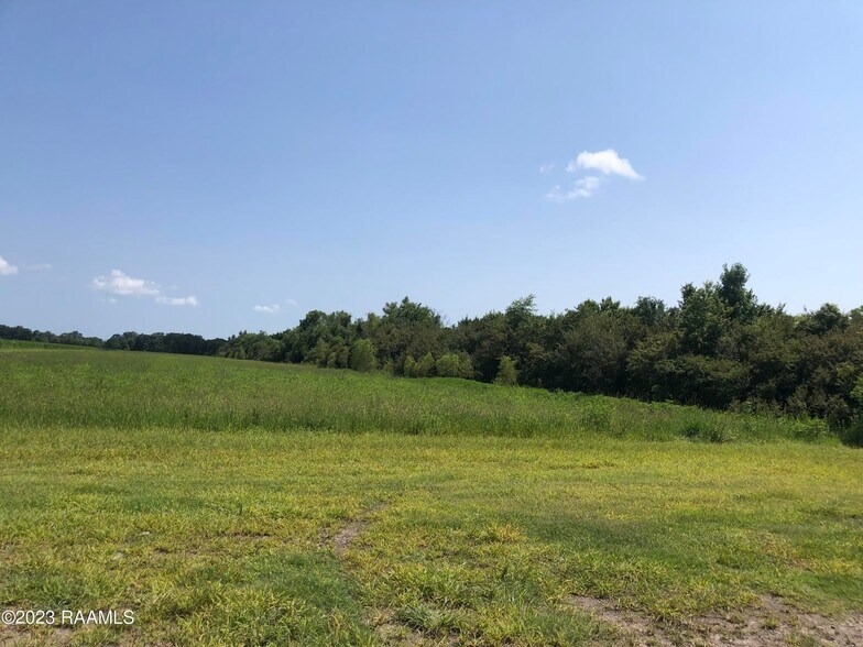 More Photos Of TBD Trahan Rd., New Iberia Land For Sale