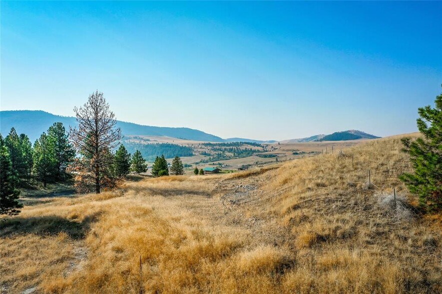 More Photos Of 29011 Walking Horse Ln, Big Arm Land For Sale