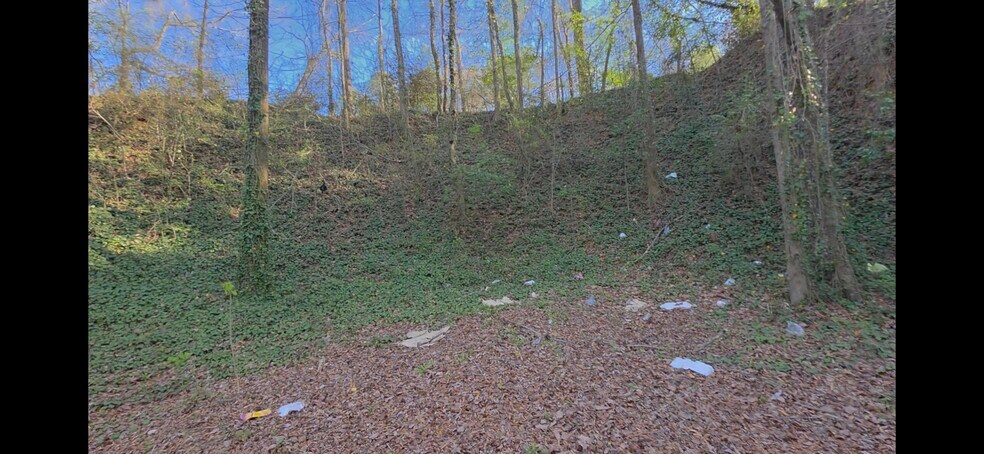 More Photos Of 6409 Georgia Rd, Birmingham Land For Lease