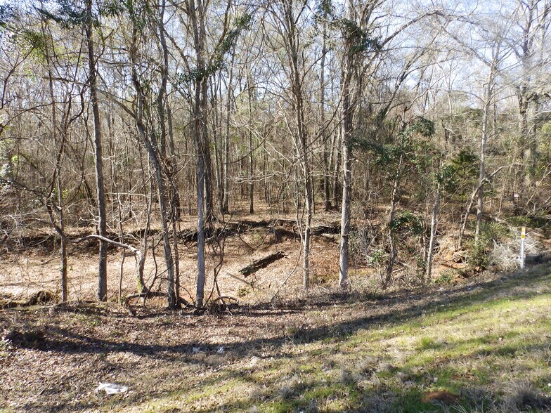 More Photos Of 20175 HWY 155 S, Flint Land For Sale