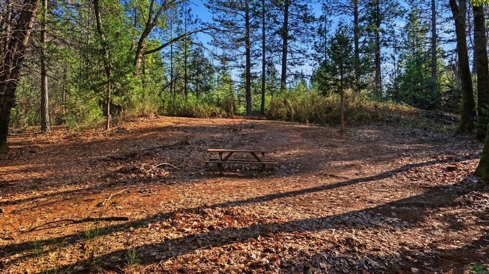 More Photos Of 6350 State Highway 193, Georgetown Apartments For Sale