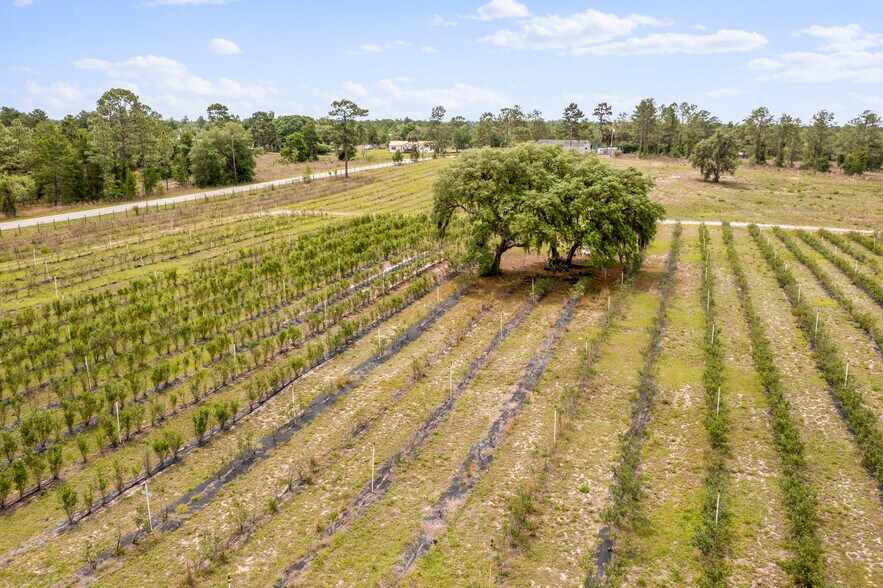 More Photos Of 130 Strawberry ln, Pomona Park Land For Sale