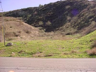 More Photos Of 17928 ScherzingerLn., Canyon Country Land For Sale