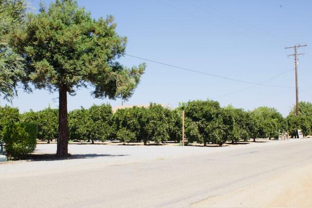 More Photos Of 20015 Road 212, Lindsay Healthcare For Sale