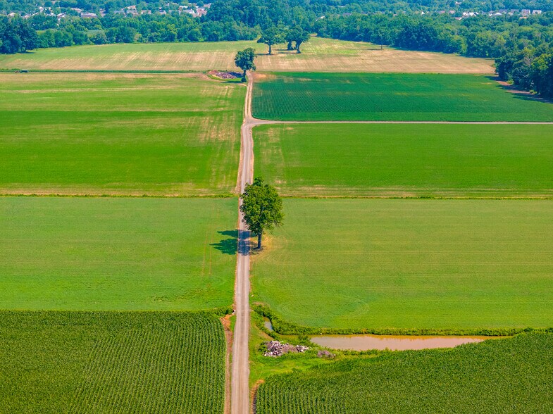 More Photos Of 27058 Mount Pleasant Rd, Columbus Winery Vineyard For Sale