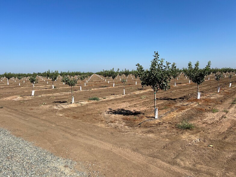 More Photos Of Avenue 204 @ Road 188, Strathmore Land For Sale