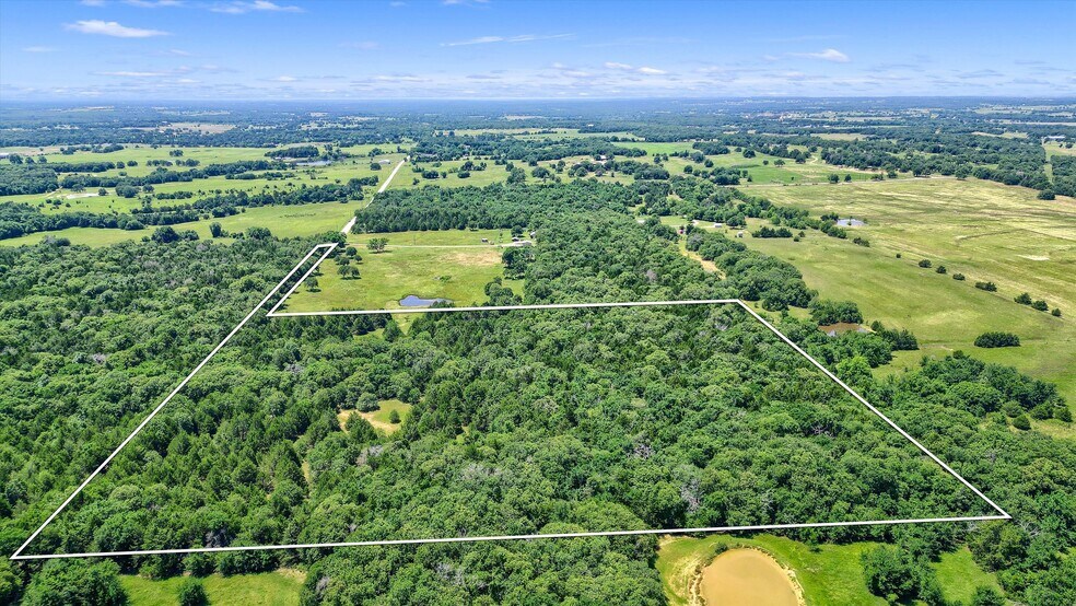 More Photos Of TBD CR 113, Whitesboro Land For Sale