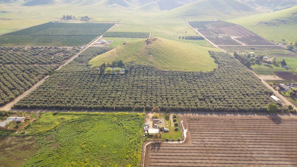 Primary Photo Of 24257 Ave 234, Lindsay Land For Sale