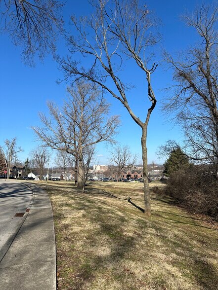 More Photos Of 644 High St, Bowling Green Land For Sale