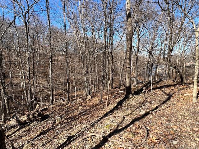 More Photos Of 450630 S Old Mill Road, Afton Trailer Camper Park For Sale