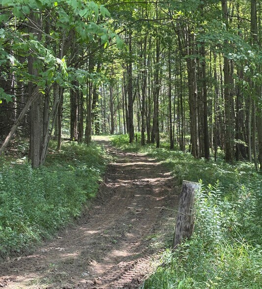 More Photos Of 7632 Centerville Rd, Houghton Trailer Camper Park For Sale