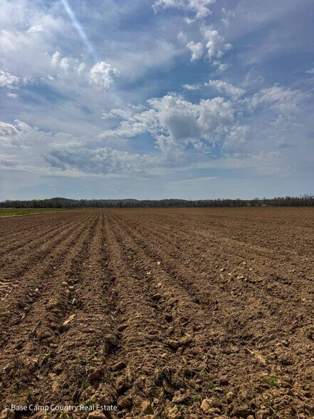 More Photos Of 7434 State Highway 51, Zalma Land For Sale