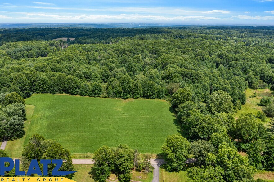 Primary Photo Of 387 Wilson Ln, Lowellville Land For Sale