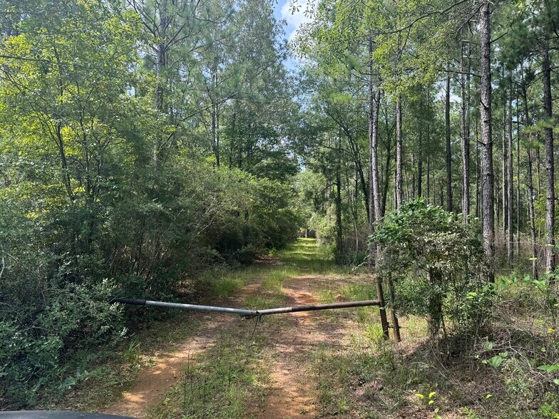 More Photos Of 0 Nokomis Road, Walnut Hill Land For Sale