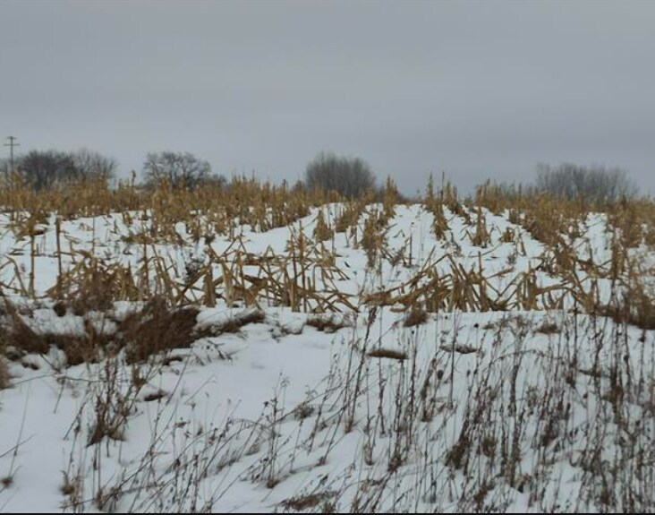 More Photos Of Hwy EE & Hwy 41/141, Abrams Land For Sale