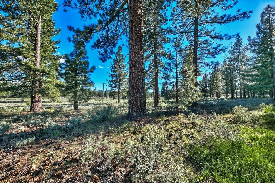 More Photos Of 9701 Highway 267 Hwy, Truckee Land For Sale