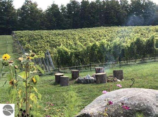 More Photos Of 12180 Sutter Rd, Kewadin Winery Vineyard For Sale