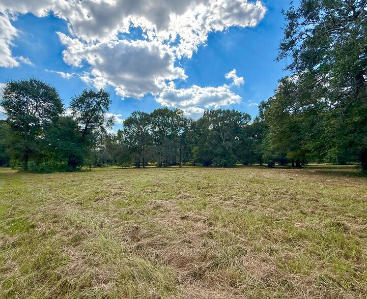 More Photos Of 1 Mount Zion Road, New Waverly Land For Sale