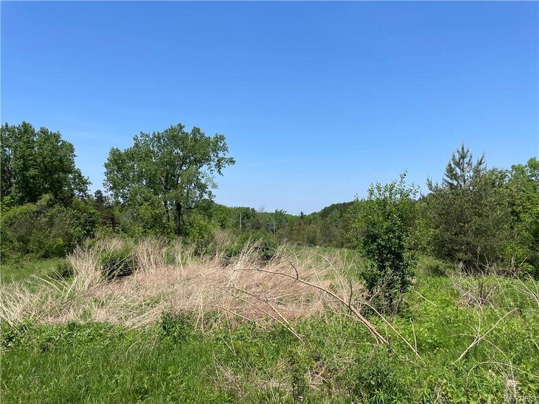 More Photos Of 1630 Southwestern blvd, West Seneca Hotel For Sale