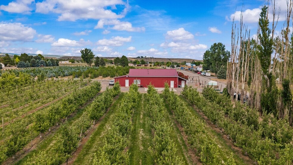 More Photos Of 20809 Nowhere Rd, Eckert Land For Sale