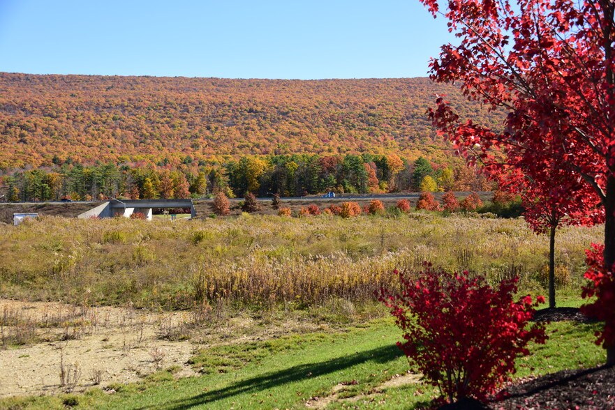 More Photos Of Pinecrofe Exit 39 Off I-99 Pad Site, Bellwood Land For Sale
