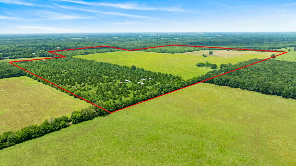 More Photos Of 449 County Road 1357, Clarksville Land For Sale