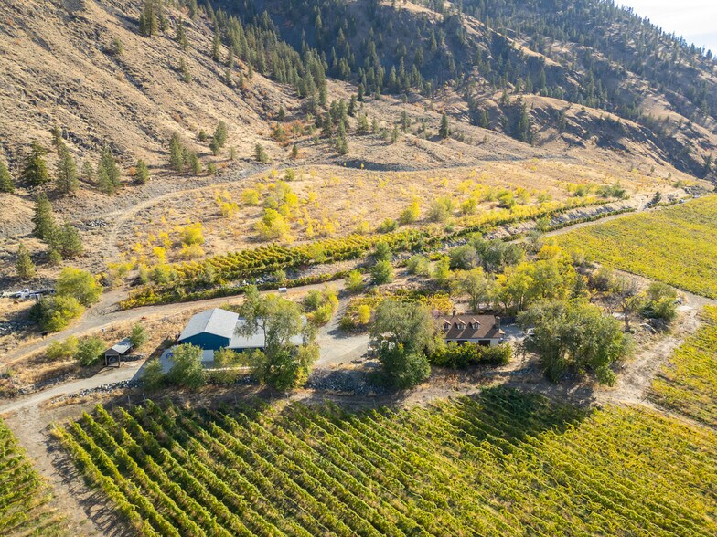 More Photos Of 1002 British Columbia 3, Cawston Winery Vineyard For Sale